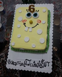 تولد برادر زاده ام