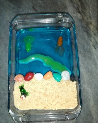 ژله دریاچه ۱۳۹۹.۸.۵