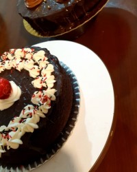 ولادت پیامبر مبارک