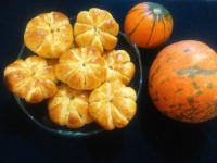 شیرینی کدو حلوایی مغزدار