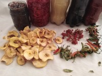 سوغات پاییز