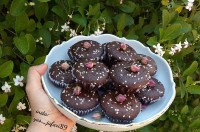 کاپ کیک شکلاتی بدون تخم مرغ