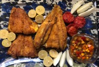 ماهی جاااااان