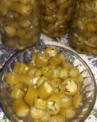 فلفل شور ترکی