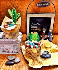 کاکتوس شکلاتی