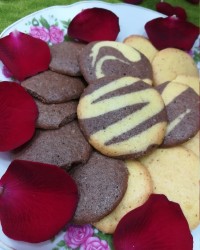 مینی کوکی❤