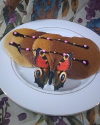 پنکیک ساده و کاکائویی