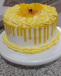 اولین تجربه خامه کشی من?