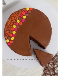 کیک دبل شکلات