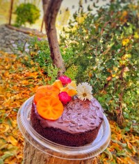 کوئیک میکس کاکائو و نسکافه