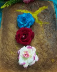 کیک اسفنجی زعفرانی