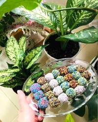 توپک خرمایی چهار مغز مغز دار