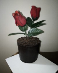 کیک گلدانی تولد آقای همسر