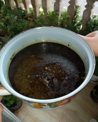 قرمه سبزی نهار خوشمزه