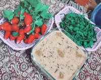 اش دوغ شمالی