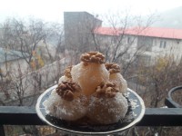 باسلوق نارگیلی خوشمزه درهوای برفی