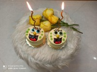 یازده ماهگی