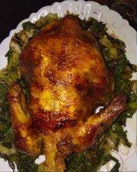 اینم مرغ شکم پر