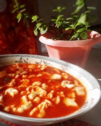 ترشی اب گوجه