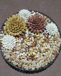 دیزاین اجیل