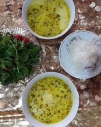 غذا کوردواری بربه سل