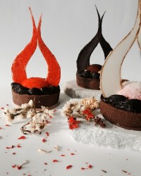 اشکی درگذرگاه تاریخ تارت شکلاتی