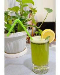 نوشیدنی موهیتو