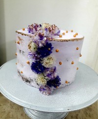 کیک نیمه عریان