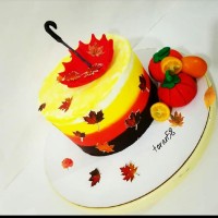 کیک تولدبرادرزاده جانم