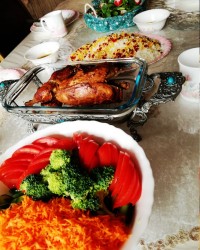 مرغ شکم پر شمالی