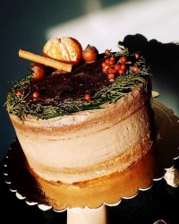 کیک عریان شکلاتی