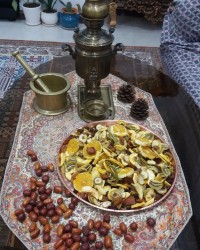 میوه ی خشک شده من