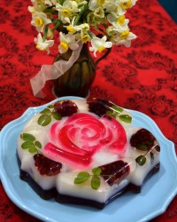 ژله ی ویترینی شروین