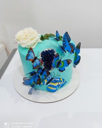 سفارش امروز