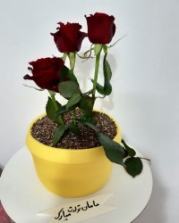 کیک گلدونی (سفارشی)