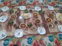 سفره مهمونی خونه ما فسنجون و قیمه با گوشت چرخ شده