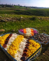 قورمه سبزی...♡