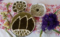 اُماچو (شولی کرمانی)