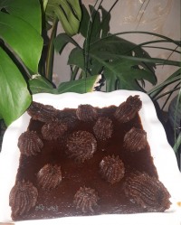 حلوابا شیره انگور