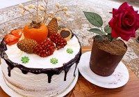 کیک سفید با دانه های انار