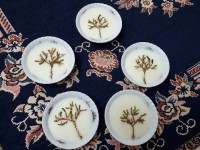 پودینگ نارگیلی