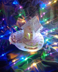 خانه بیسکویتی