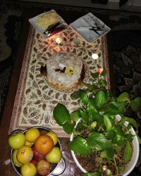 کیک خودم پز