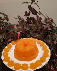 مسقطی پرتقالی