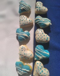 روزه داران فاطمی