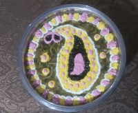 تزیین آش رشته