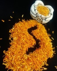 فعالیت امسالم خلال پوست پرتقال خشک