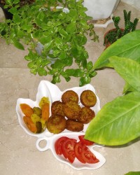 شام امشبمون