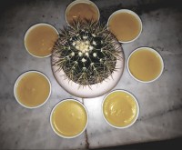 فرنی زعفرونی جای دوستان خالی