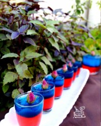 ژله دورنگ و کمپوت گیلاس